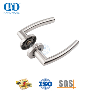 Gagang Pintu Stainless Steel Mewah pada Roset untuk Pintu Depan-DDTH025-SSS