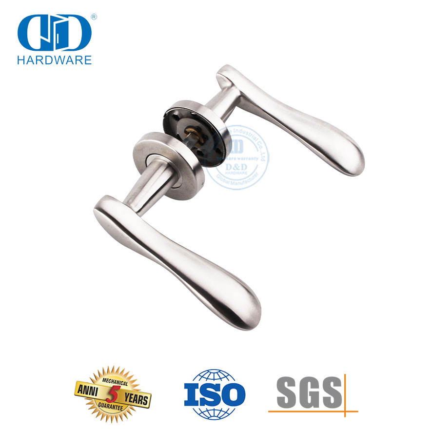 Pegangan Pintu Cor Presisi Tipe Tuas Stainless Steel Padat-DDSH014-SSS