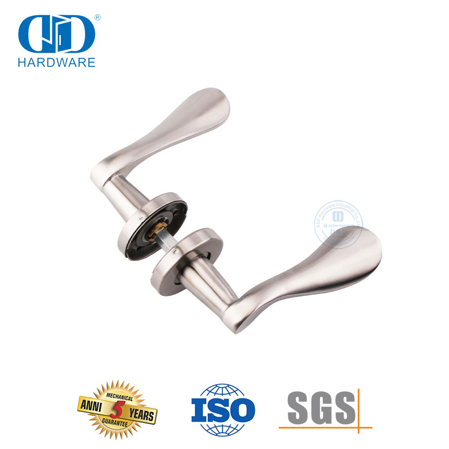 Pegangan Tuas Padat Stainless Steel Pintu Masuk Depan Eropa-DDSH012-SSS