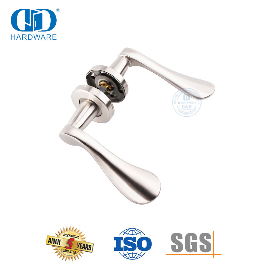 Pegangan Tuas Padat Stainless Steel Pintu Masuk Depan Eropa-DDSH012-SSS