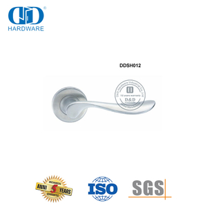 Pegangan Tuas Padat Stainless Steel Pintu Masuk Depan Eropa-DDSH012-SSS