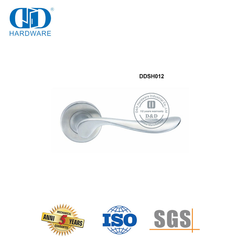 Pegangan Tuas Padat Stainless Steel Pintu Masuk Depan Eropa-DDSH012-SSS