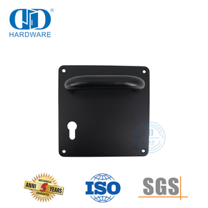 Gagang Tuas Pintu Stainless Steel Finish Perak dengan Pelat untuk Pintu Logam-DDTP001-MB