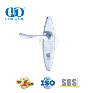 Tuas Pegangan Solid Pintu Eksterior Modern Berkualitas Tinggi SUS304 Klasik dengan Backplate-DDLP002