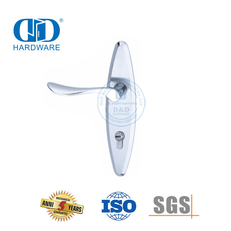 Tuas Pegangan Solid Pintu Eksterior Modern Berkualitas Tinggi SUS304 Klasik dengan Backplate-DDLP002