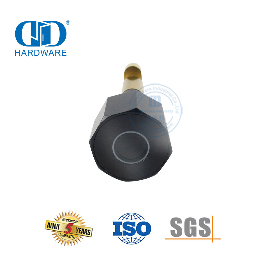 Gembok Pintu Eksternal Interior Pengisi Daya USB Keamanan Sidik Jari Fungsi Bluetooth Digital Kuningan Baja Tahan Karat-DDPL101-70mm