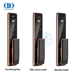 Pengambilan Jarak Jauh Wifi Mewah dengan Kunci Kamera Kunci Pintu Pintar Sidik Jari-DDEL011