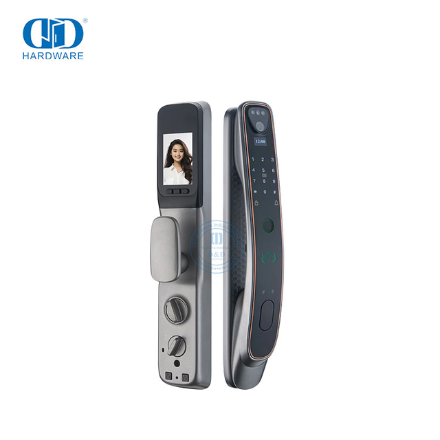Apartemen Otomatis Gaya Eropa Tanpa Kunci Digital Hotel Wifi Waterproof Smart Door Lock-DDEL019