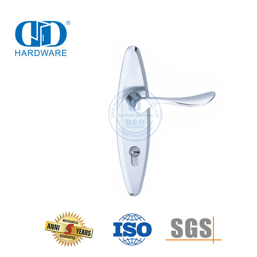 Tuas Pegangan Solid Pintu Eksterior Modern Berkualitas Tinggi SUS304 Klasik dengan Backplate-DDLP002