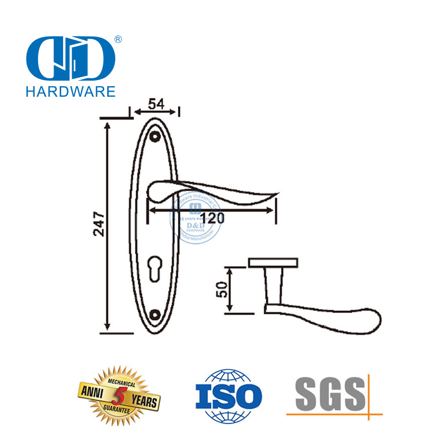 Tuas Pegangan Solid Pintu Eksterior Modern Berkualitas Tinggi SUS304 Klasik dengan Backplate-DDLP002