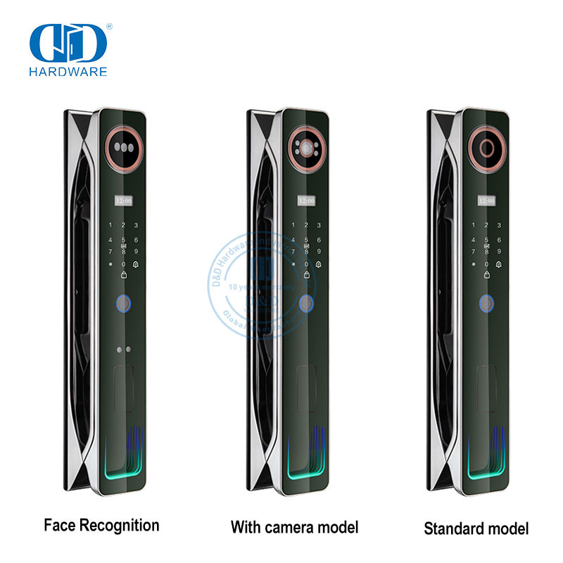 Biometrik Digital Inteligente Penampil Pintu Aplikasi Cetak Jari Kunci Cerdas Remote Control -DDEL007