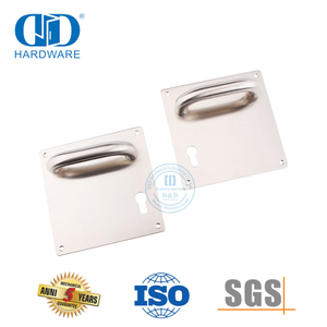 Pasokan Pabrik Pintu Masuk Gedung Pemadam Kebakaran Hotel Gagang Tuas Stainless Steel-DDTP001-SSS