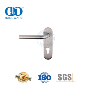 Pegangan Tuas Dalam Ruangan Stainless Steel Berkualitas Tinggi dengan Pelat untuk Pintu Logam-DDTP008